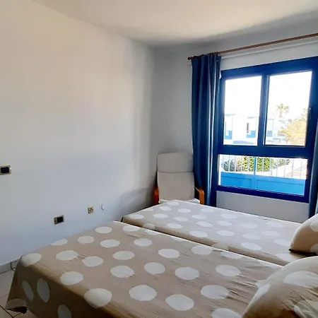 Suculenta פלאיה בלנקה