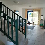 Suculenta بلايا بلانكا