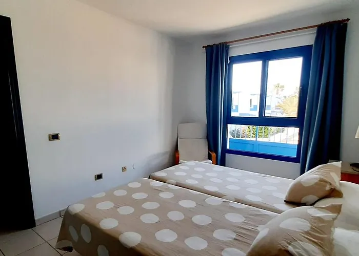 Suculenta Коста Бланка