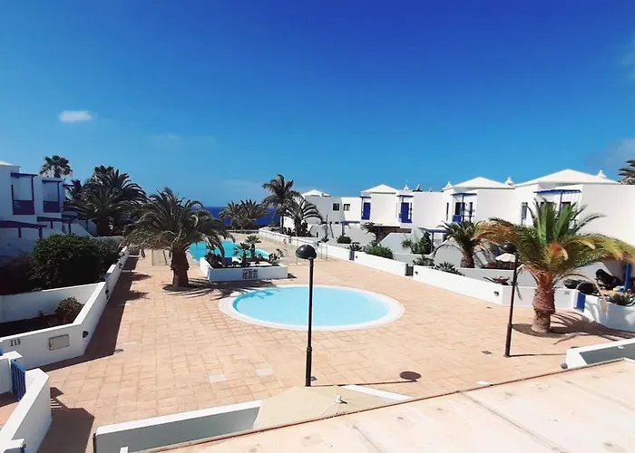 Suculenta * Коста Бланка