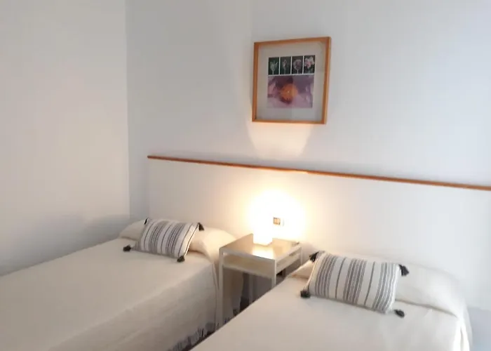 Suculenta * Коста Бланка