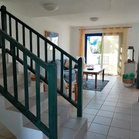 Suculenta 플라야블랑카