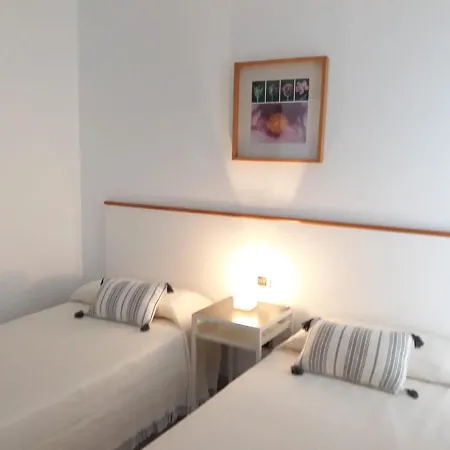 Suculenta * 플라야블랑카