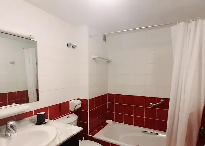 Suculenta * 普拉亚布兰卡