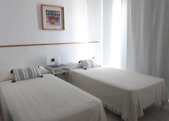 Suculenta * 普拉亚布兰卡